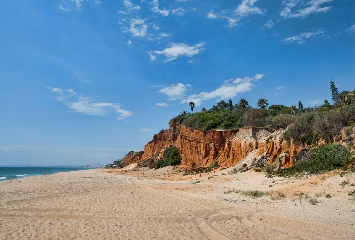 Beach Villa Вале-до-Лобо Экстерьер фото